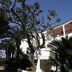 Parco Maria Terme 4* Forio di Ischia