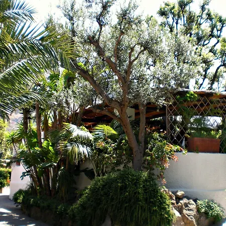 Hotel Parco Maria Terme Forio di Ischia