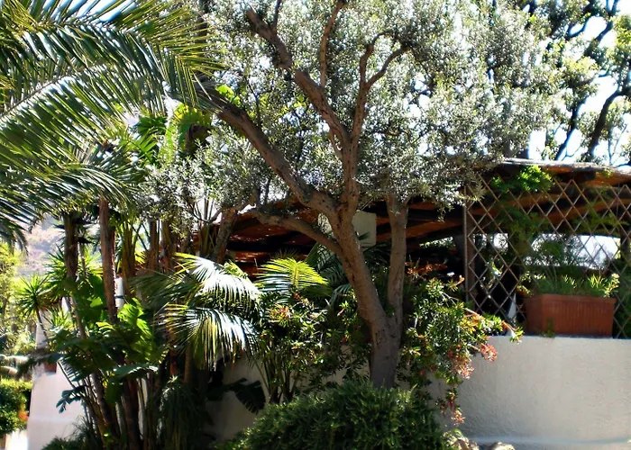 Hotel Parco Maria Terme Forio di Ischia