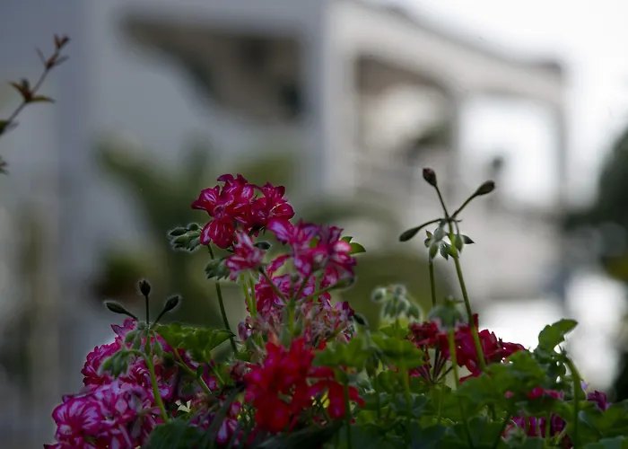 Parco Maria Terme Hotel